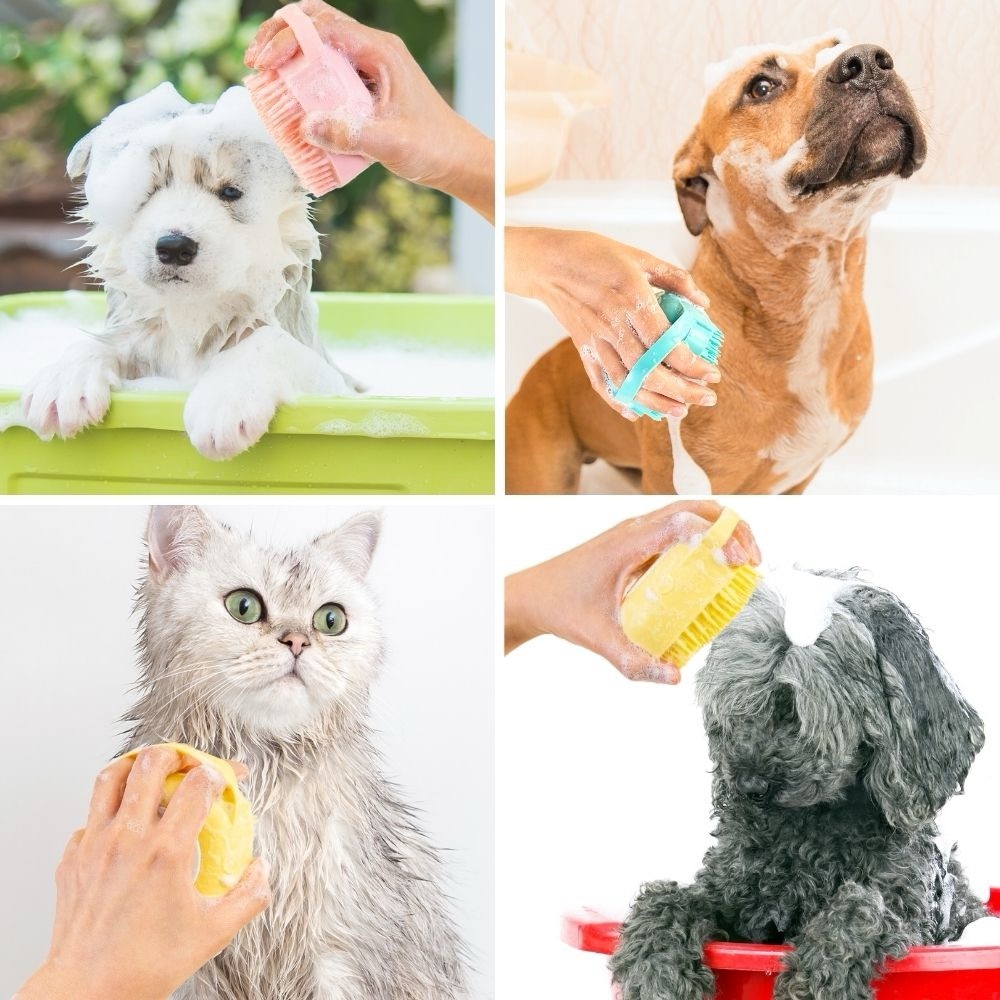 Grooming Bath Scrubber Shampoo Brush + CAT STICKERS 😻
